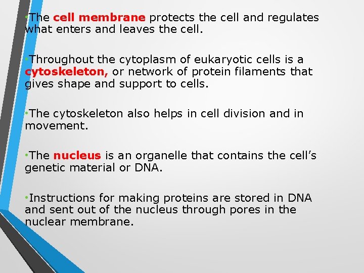  • The cell membrane protects the cell and regulates what enters and leaves