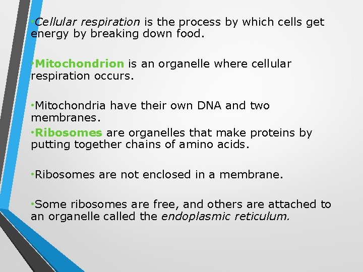  • Cellular respiration is the process by which cells get energy by breaking