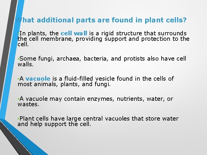 What additional parts are found in plant cells? • In plants, the cell wall