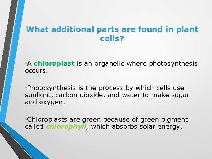 What additional parts are found in plant cells? • A chloroplast is an organelle