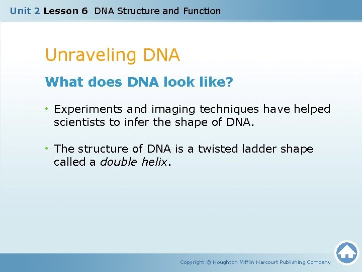 Unit 2 Lesson 6 DNA Structure and Function Unraveling DNA What does DNA look