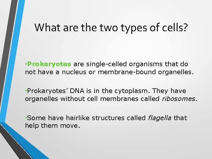 What are the two types of cells? • Prokaryotes are single-celled organisms that do