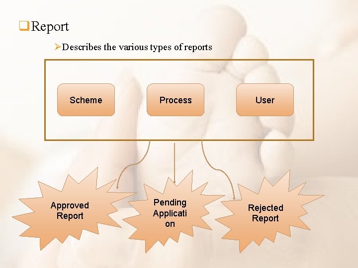 q. Report ØDescribes the various types of reports Scheme Approved Report Process Pending Applicati