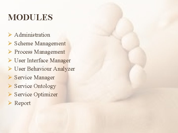 MODULES Ø Ø Ø Ø Ø Administration Scheme Management Process Management User Interface Manager