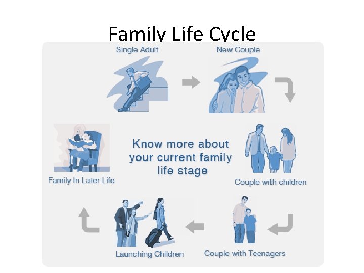 Family Life Cycle 