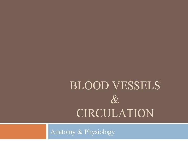 BLOOD VESSELS & CIRCULATION Anatomy & Physiology 