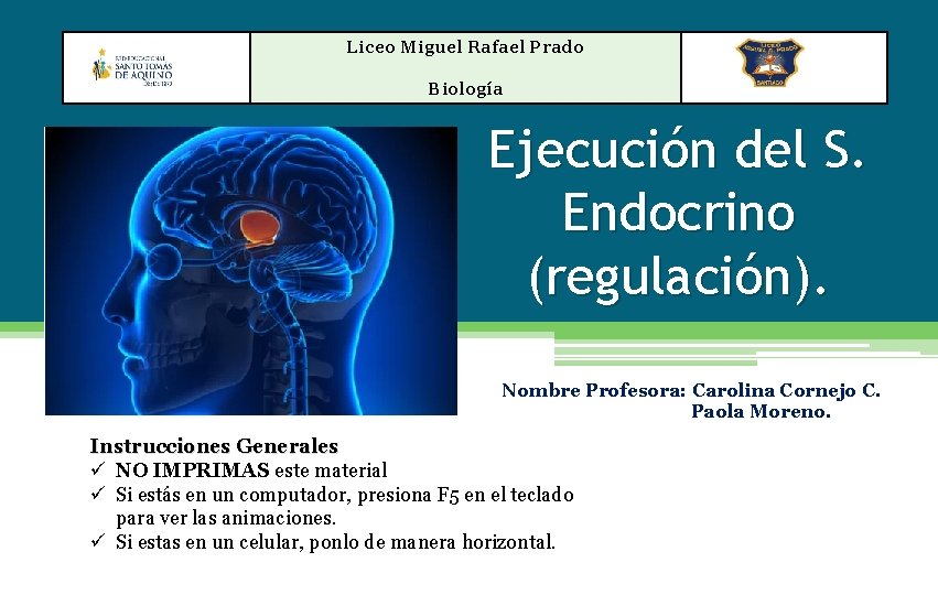 Liceo Miguel Rafael Prado Biología Ejecución del S. Endocrino (regulación). Nombre Profesora: Carolina Cornejo