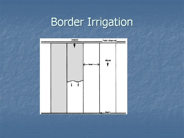 Border Irrigation 