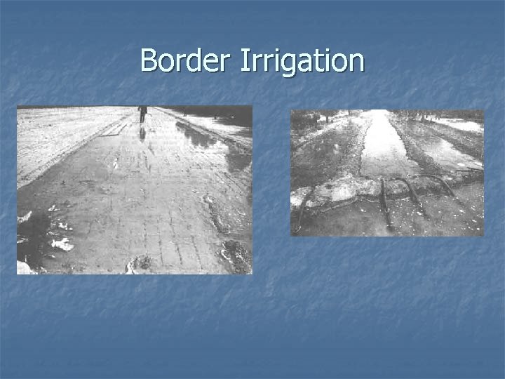 Border Irrigation 