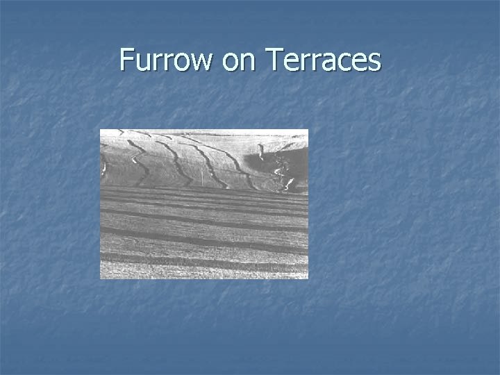 Furrow on Terraces 