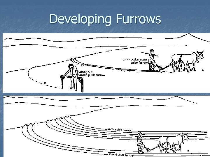 Developing Furrows 