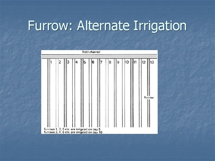 Furrow: Alternate Irrigation 