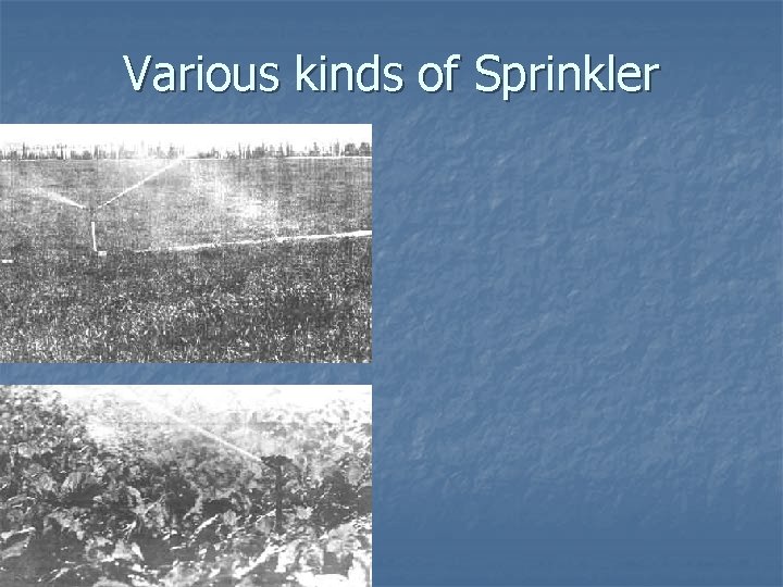 Various kinds of Sprinkler 