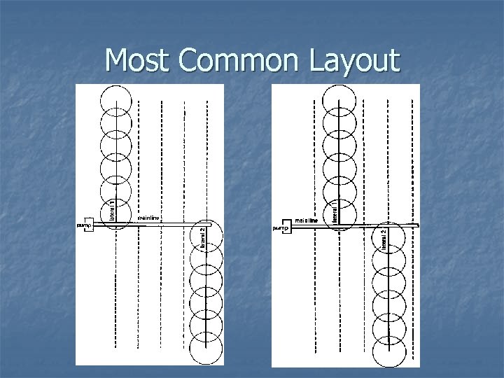 Most Common Layout 