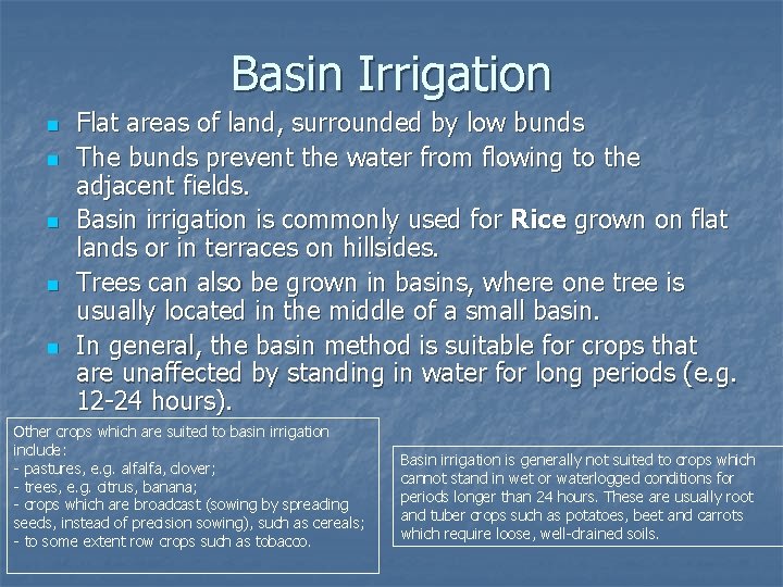 Basin Irrigation n n Flat areas of land, surrounded by low bunds The bunds