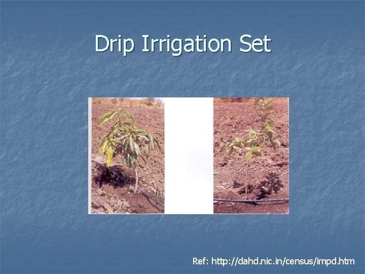 Drip Irrigation Set Ref: http: //dahd. nic. in/census/impd. htm 