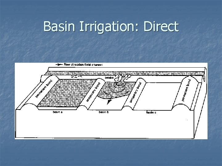 Basin Irrigation: Direct 