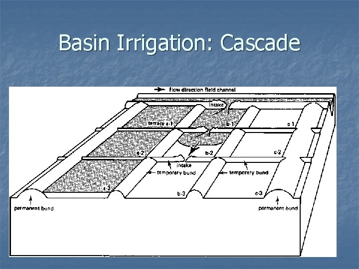 Basin Irrigation: Cascade 