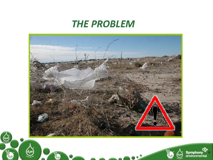 THE PROBLEM 8 