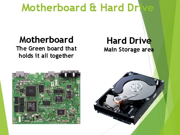 Motherboard & Hard Drive Motherboard The Green board that holds it all together Hard