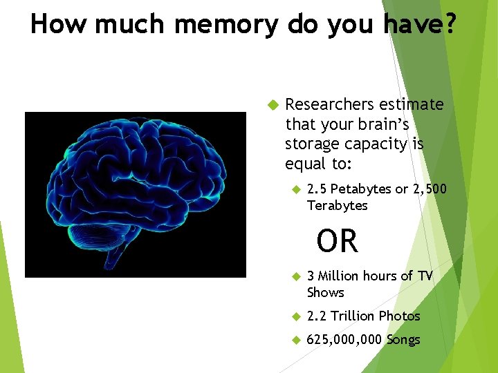 How much memory do you have? Researchers estimate that your brain’s storage capacity is