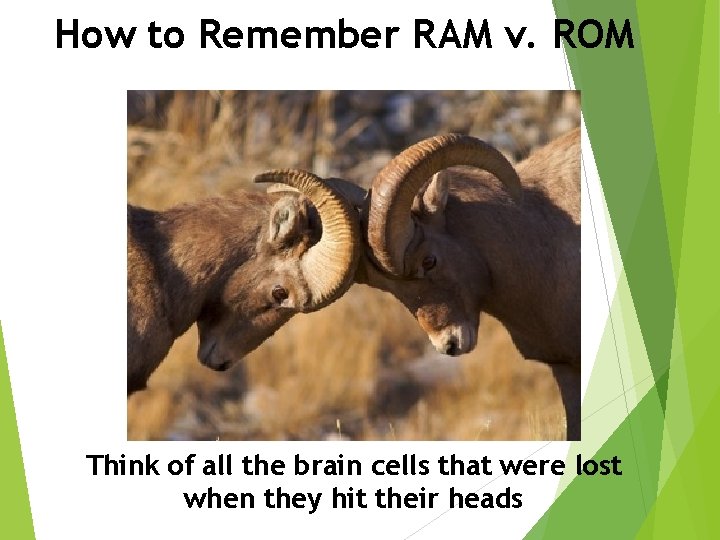 How to Remember RAM v. ROM Think of all the brain cells that were
