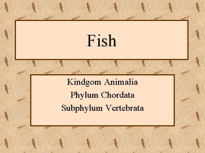 Fish Kindgom Animalia Phylum Chordata Subphylum Vertebrata 