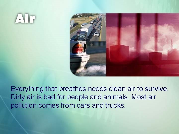 Everything that breathes needs clean air to survive. Dirty air is bad for people