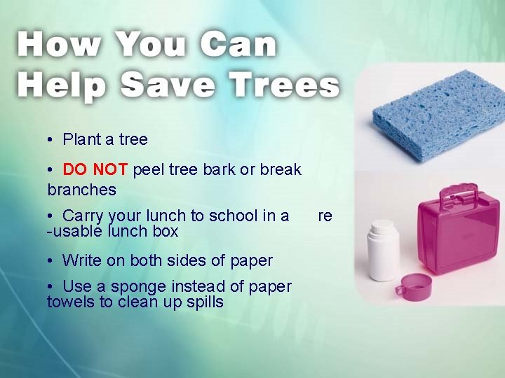  • Plant a tree • DO NOT peel tree bark or break branches