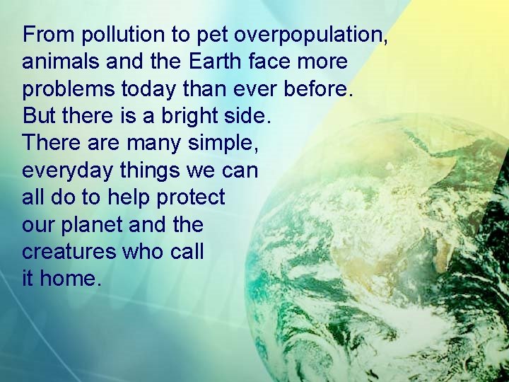 From pollution to pet overpopulation, animals and the Earth face more problems today than