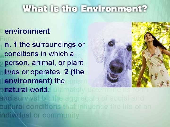 environment n. 1 the surroundings or conditions in which a person, animal, or plant