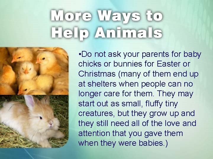  • Do not ask your parents for baby chicks or bunnies for Easter
