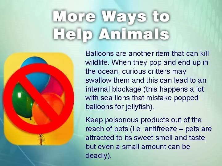 Balloons are another item that can kill wildlife. When they pop and end up
