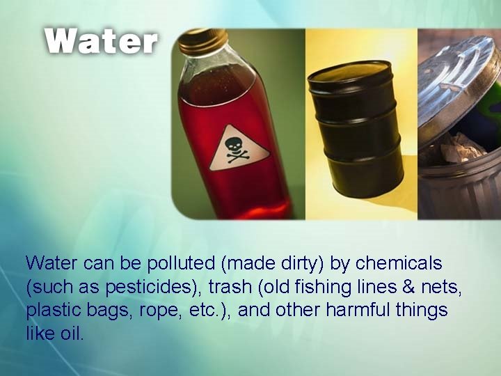 Water can be polluted (made dirty) by chemicals (such as pesticides), trash (old fishing