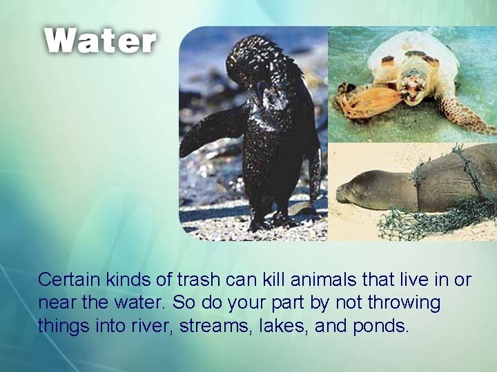 Certain kinds of trash can kill animals that live in or near the water.