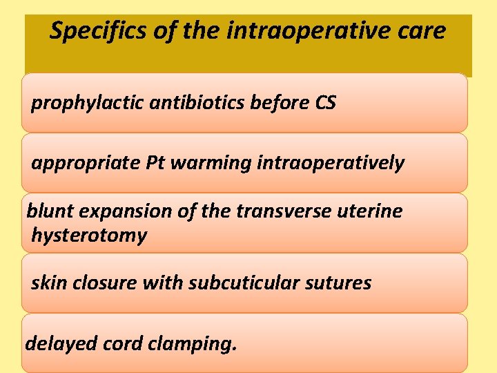 Specifics of the intraoperative care prophylactic antibiotics before CS appropriate Pt warming intraoperatively blunt