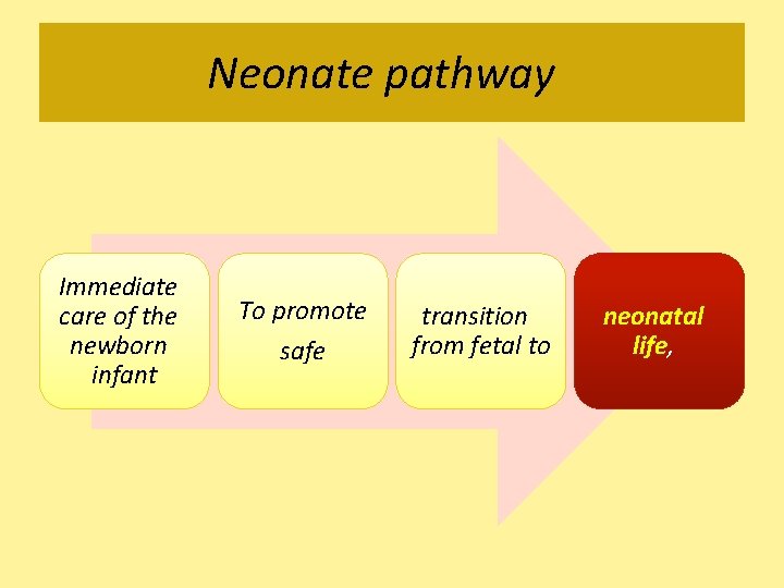 Neonate pathway Immediate care of the newborn infant To promote safe transition from fetal