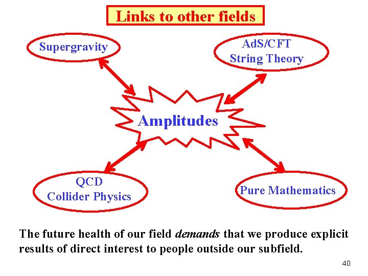 Links to other fields Ad. S/CFT String Theory Supergravity Amplitudes QCD Collider Physics Pure