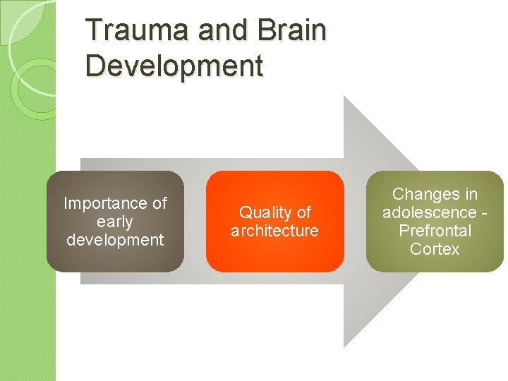 Trauma and Brain Development Importance of early development Quality of architecture Changes in adolescence