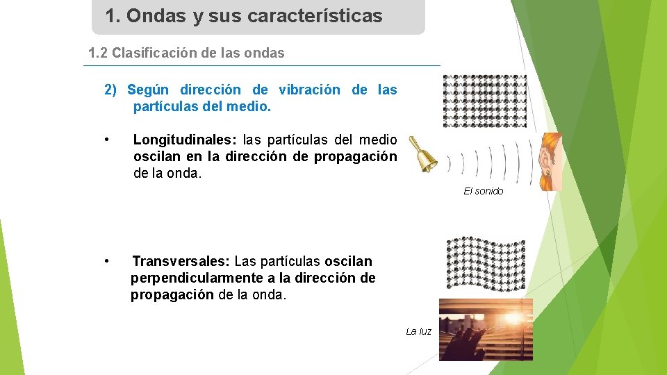 1. Ondas y sus características 1. 2 Clasificación de las ondas 2) Según dirección