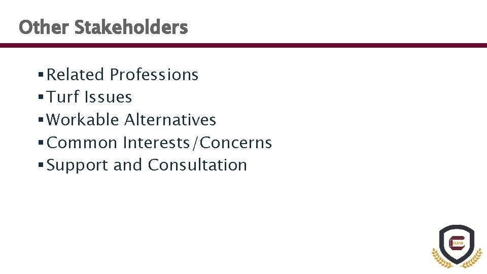 Other Stakeholders § Related Professions § Turf Issues § Workable Alternatives § Common Interests/Concerns