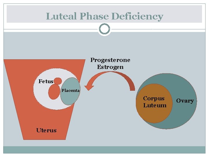 Luteal Phase Deficiency Progesterone Estrogen Fetus Placenta Corpus Luteum Uterus Ovary 