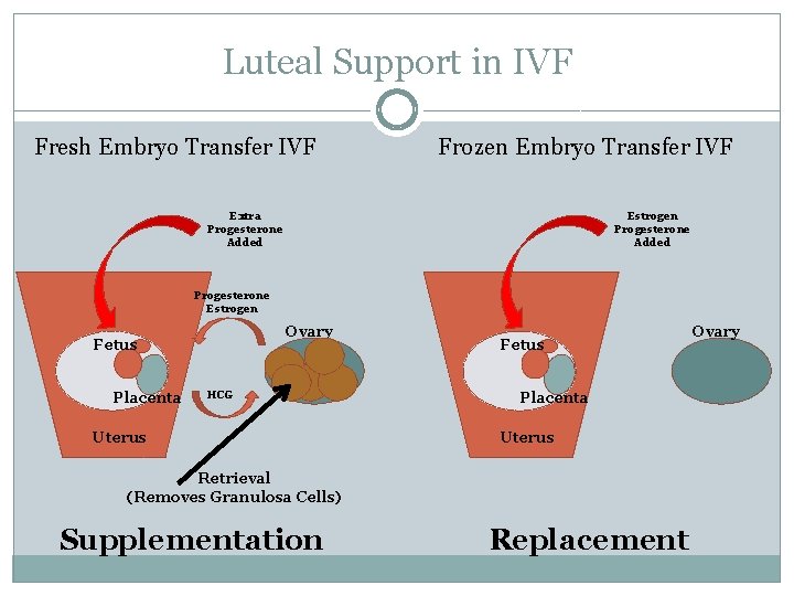 Luteal Support in IVF Fresh Embryo Transfer IVF Frozen Embryo Transfer IVF Extra Progesterone