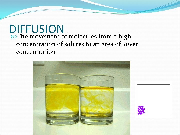 DIFFUSION The movement of molecules from a high concentration of solutes to an area