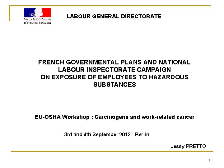 LABOUR GENERAL DIRECTORATE FRENCH GOVERNMENTAL PLANS AND NATIONAL LABOUR INSPECTORATE CAMPAIGN ON EXPOSURE OF