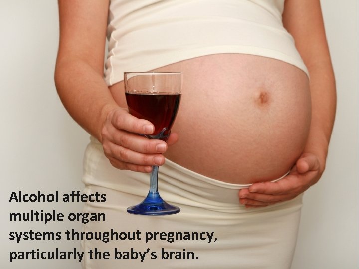 Alcohol affects multiple organ systems throughout pregnancy, particularly the baby’s brain. 