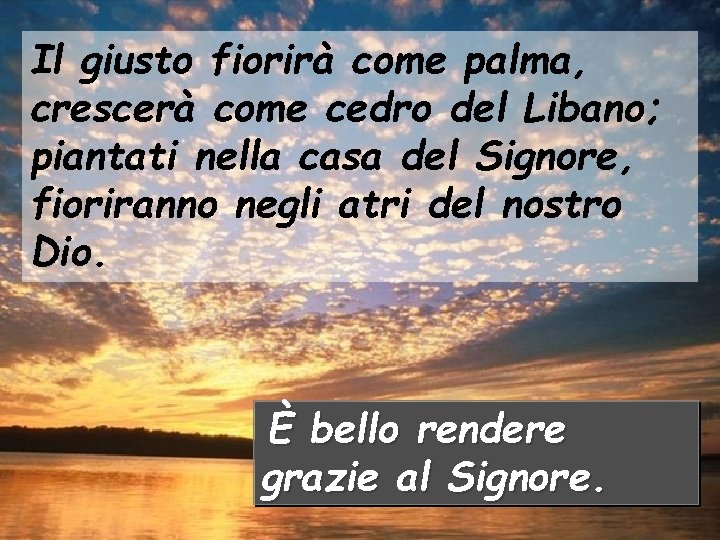 Il giusto fiorirà come palma, crescerà come cedro del Libano; piantati nella casa del Il giusto fiorirà come palma, crescerà come cedro del Libano; piantati nella casa del