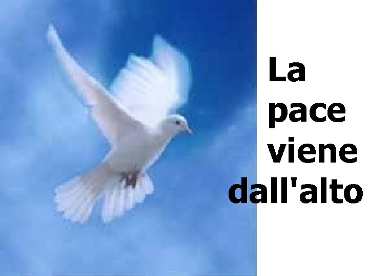 La pace viene dall'alto La pace viene dall'alto