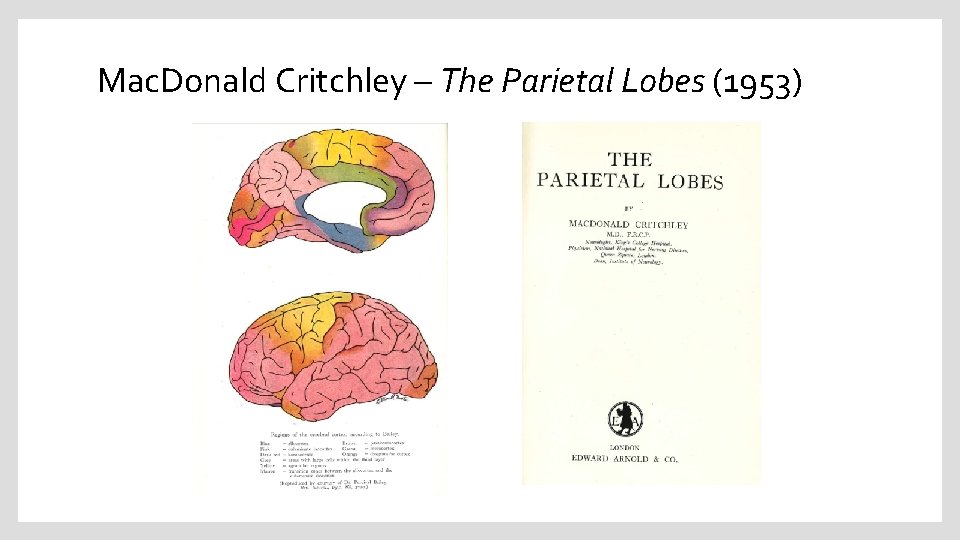 Mac. Donald Critchley – The Parietal Lobes (1953) 