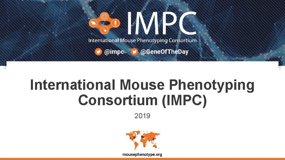 International Mouse Phenotyping Consortium IMPC 2019 Goals of